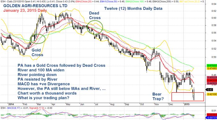 Golden Agri-Resources Ltd, January 23, 2015 Daily 