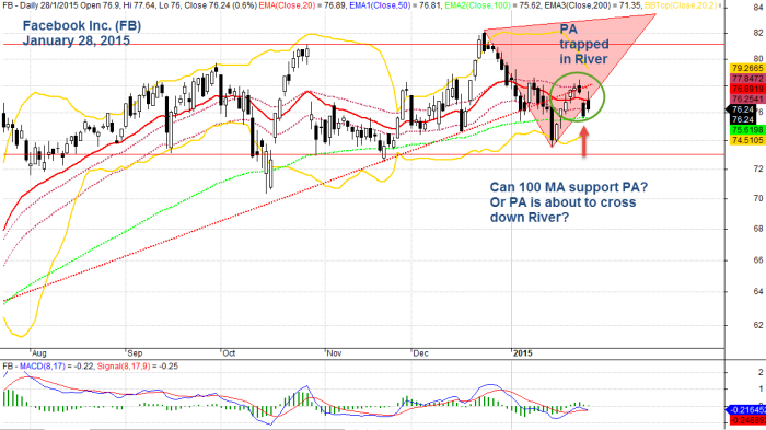 Facebook Inc, FB January 28, 2015 Daily