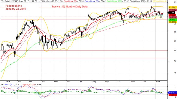 Facebook Inc, Twelve Months Daily Data