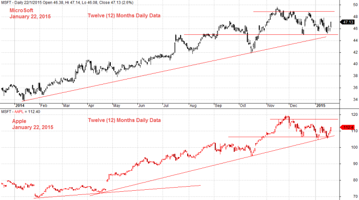 Microsoft and Apple Twelve (12) Months Daily Data