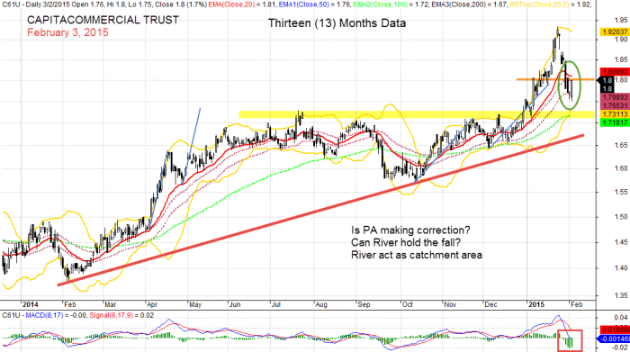 CAPITACOMMERCIAL TRUST, C61U February 3, 2015