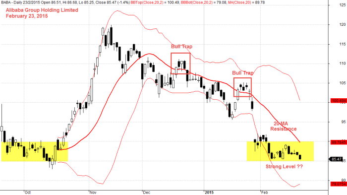 Alibaba Group Holding Limited, February 23, 2015