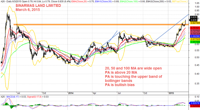 SINARMAS LAND LIMITED, March 6, 2015