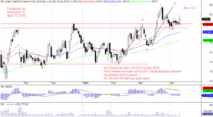 Zoom In, Six months data Facebook Inc Daily Chart