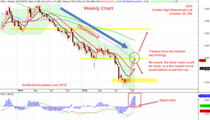 October 30, 2015 Golden Agri-Resources