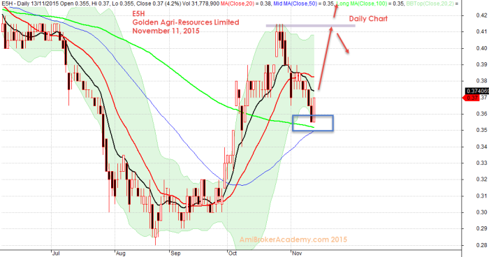 November 13, 2015 Golden Agri Resources Daily