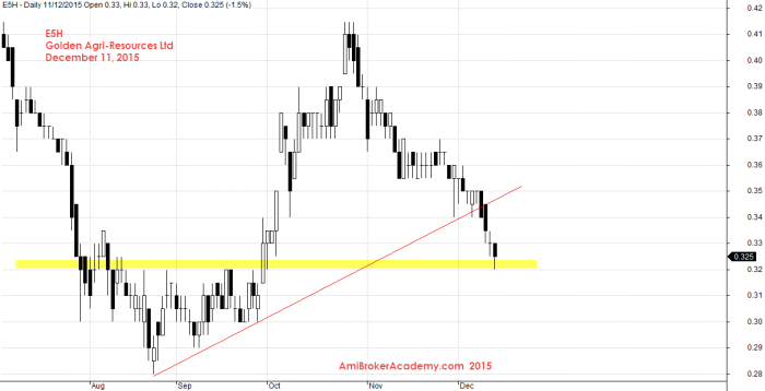 December 11, 2015 Golden Agri Resources 