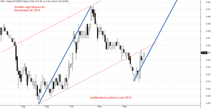 December 24, 2015 Golden Agri Resources