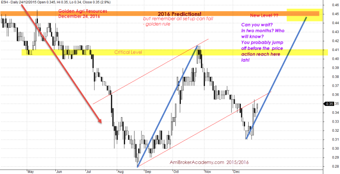 December 24, 2015 Golden Agri Resources