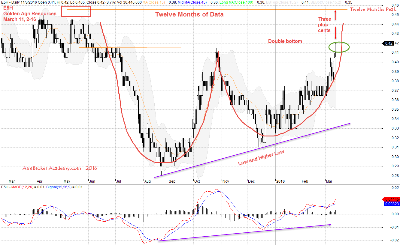 March 11, 2016 Golden Agri Resources Twelve Months Data