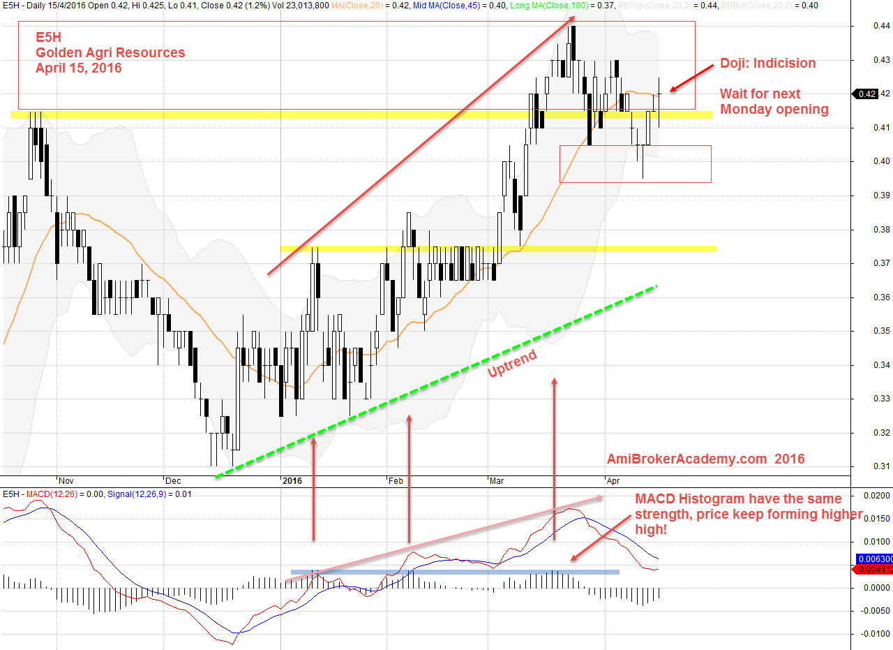 April 15, 2016 Golden Agri Resources E5H