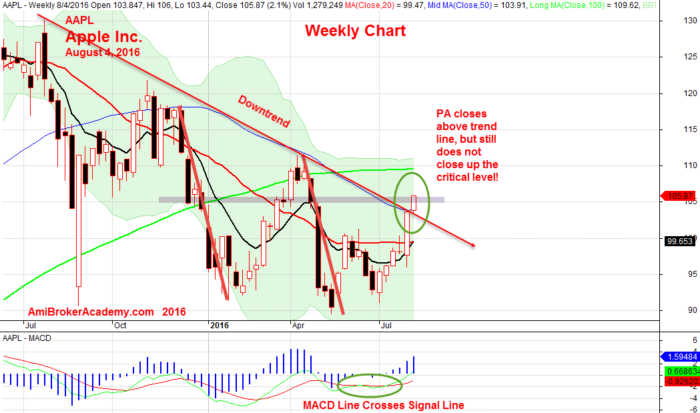 August 4, 2016 Apple Inc Weekly Chart