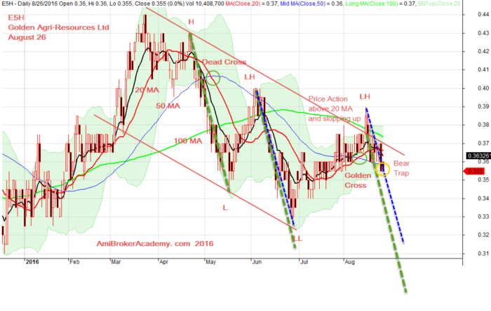 August 26, 2016 Golden Agri Resources Daily Chart