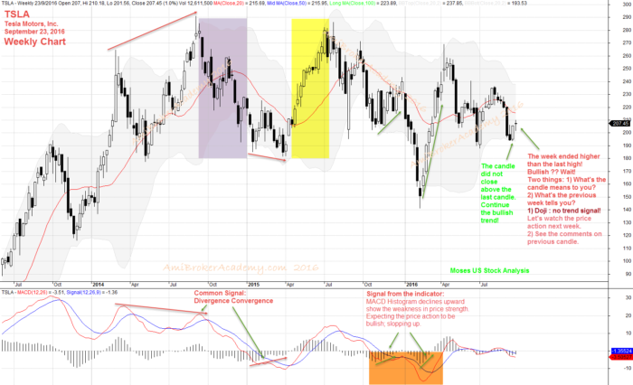 September 23, 2016 Tesla Motors Inc Weekly Chart