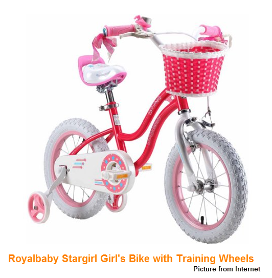 Training Wheels (picture from internet)