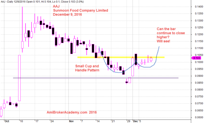 December 9, 2016 Sunmood Food Company Daily