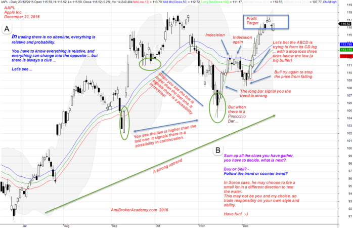 December 23, 2016 AAPL Apple Inc Daily and Detail Analysis