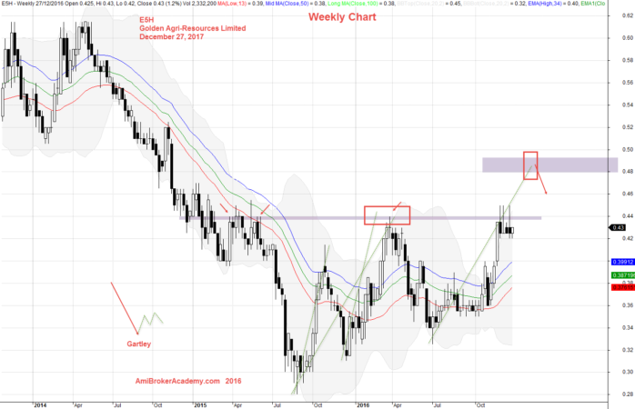 December 27, 2016 Golden Agri-Resources Weekly and Gartley